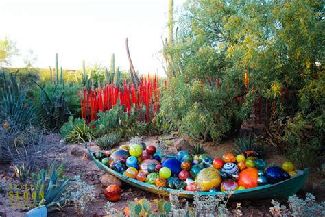 Dale Chihuly exhibit at the Desert Botanical Gardens, Phoenix Arizona ...