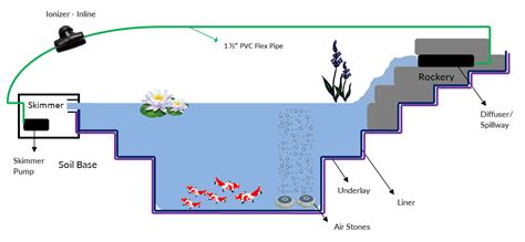 [DIAGRAM] Building A Koi Pond Diagram - MYDIAGRAM.ONLINE