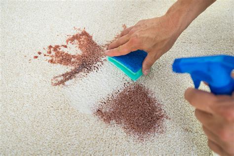 Best Way To Clean Dirt Stains From Carpet at Vanessa Swift blog