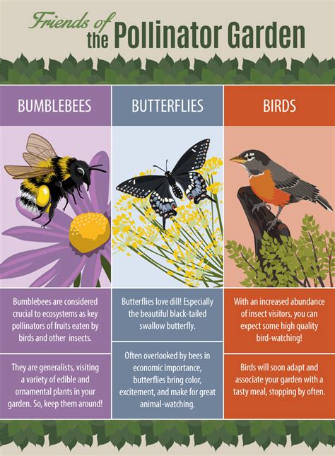 Native Plants and the Pollinator Garden | Fix.com