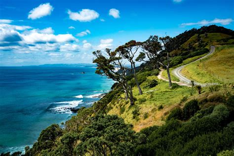 Mangawhai Heads 10 things to do - Best Bits