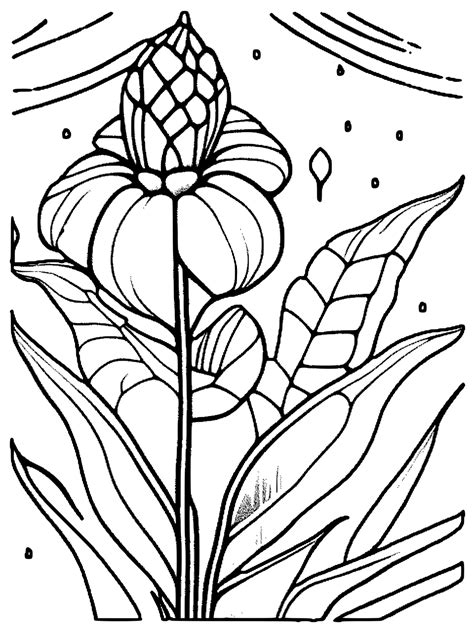 Stained Glass Flower Coloring Page · Creative Fabrica