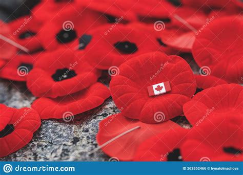 Remembrance Day Red Poppy Flowers on Tomb of the Unknown Soldier in ...