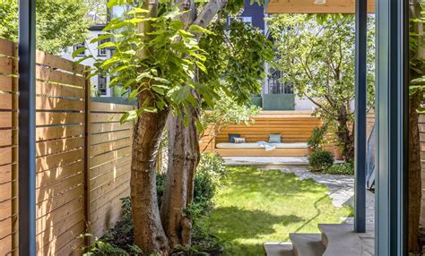 Privacy trees for small backyards – 8 tall varieties to try | Livingetc