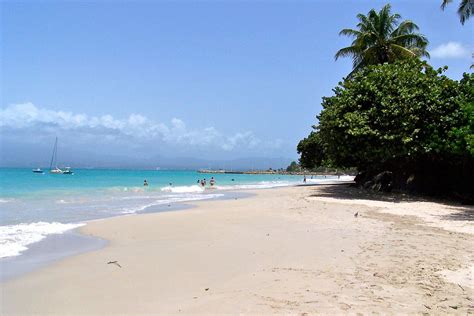 Perfect Plages: The Best Beaches of Guadeloupe