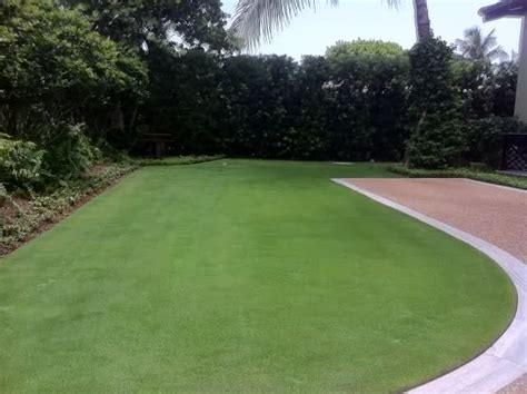 Emerald Zoysia Grass