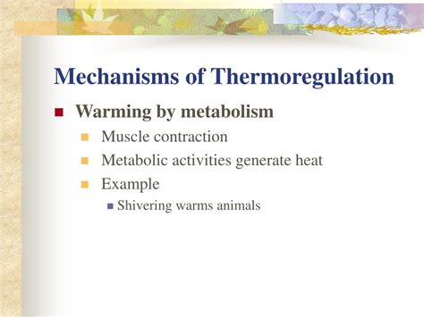 PPT - Thermoregulation PowerPoint Presentation, free download - ID:1775227