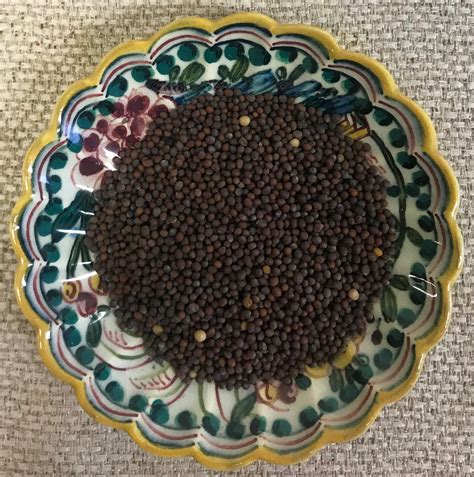 Brown Mustard Seeds - Southern New England Spice Company