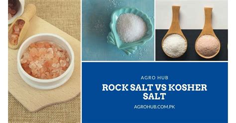 Rock Salt vs Sea Salt - Agro Hub