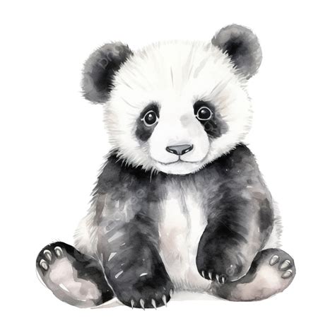 Watercolor Painting Of Cute Panda, Panda, Animal, Bear PNG Transparent ...