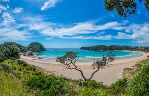 Best beach: Northland jewel Matapouri Bay - NZ Herald