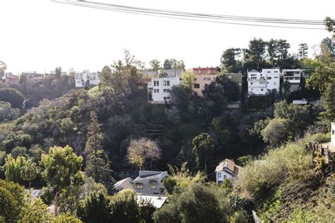 The musical heyday of Laurel Canyon | Laurel canyon, Canyon, Marine parade