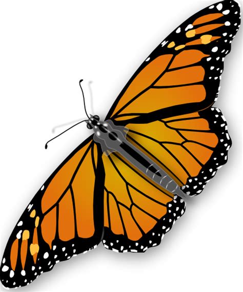 Butterfly Clip Art at Clker.com - vector clip art online, royalty free & public domain