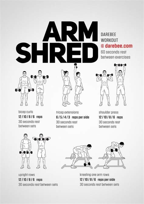 Arm Shred Workout | Ejercicios de calistenia, Ejercicios, Rutinas de entrenamiento semanales