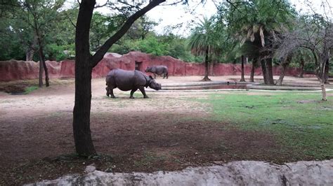 Nehru Zoological Park Hyderabad: Find Zoo Park Hyderabad Timings ...