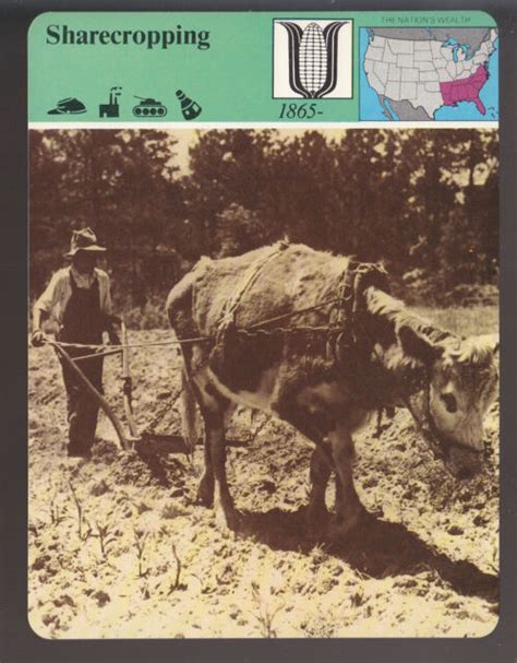 BLACK SHARECROPPER IN GEORGIA PHOTO Sharecropping STORY OF AMERICA CARD ...