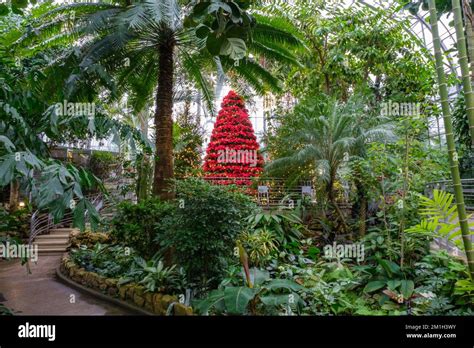 Krohn Conservatory in Cincinnati, Ohio at Christmas. Interior view ...