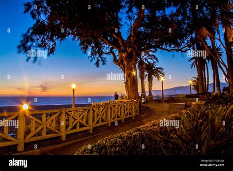 Palisades Park, Santa Monica Ca - Sunset Looking North Stock Photo - Alamy