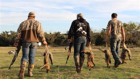 Texas Varmint Hunts - Guided Predator and Small Varmint Hunts: Prone Outfitters