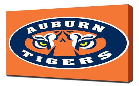 Auburn Tiger Eyes - 1280x800 Wallpaper - teahub.io