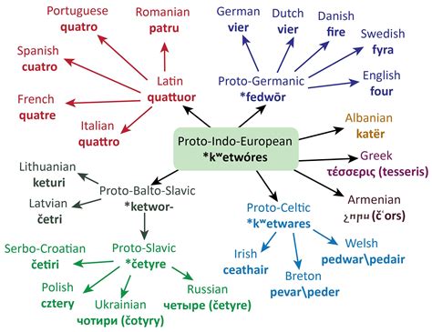 Origin of "four" in English and other IE languages : r/languagelearning