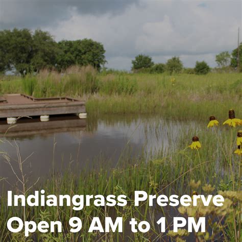 Indiangrass Preserve Open — Coastal Prairie Conservancy