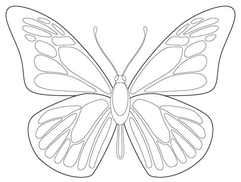 Butterfly Wings Coloring Pages at GetDrawings | Free download