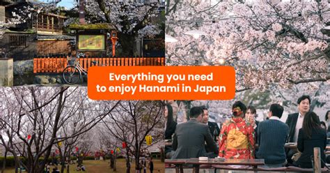 Hanami 101: Tips and Tricks to Ace Cherry Blossom Season - Klook Travel ...