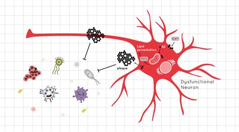 Beta-amyloid Peptide, the Dr Jekyll and Mr Hyde of Alzheimer’s Disease - News - Company - arigo ...