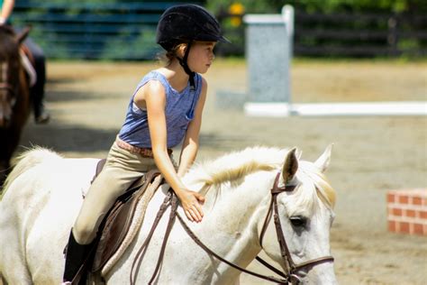 Equestrian Camp — Camp Friendship