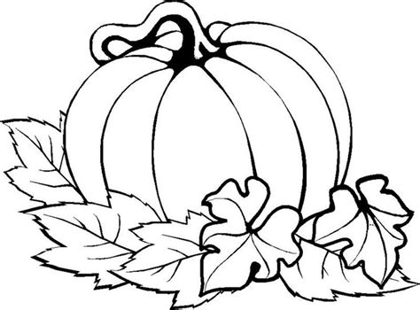 Cute Pumpkin Drawing at GetDrawings | Free download