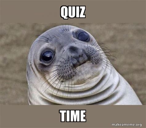 QUIZ TIME - Squeamish Seal Meme Generator