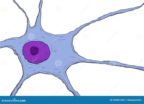 Neuron, Nerve Cell, Illustration Stock Illustration - Illustration of ...