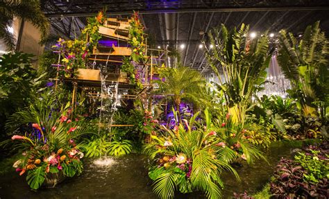 The Philadelphia Flower Show Displays Stunning Plants and Flowers