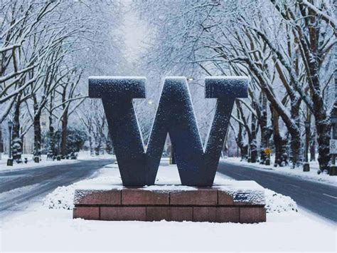 Is the University of Washington a Good School? College Spotlight ...