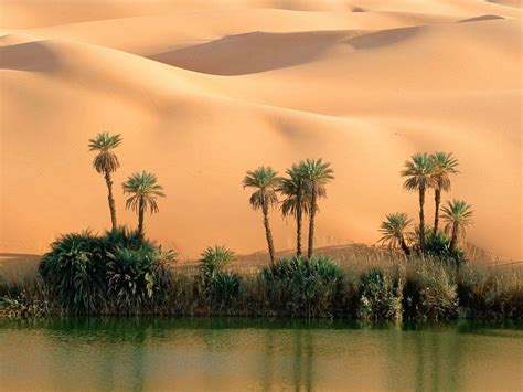 Desert Oasis in 2019 | Desert oasis, Nature, Fun deserts