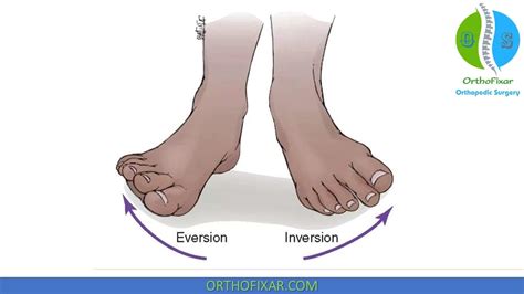 Ankle Inversion