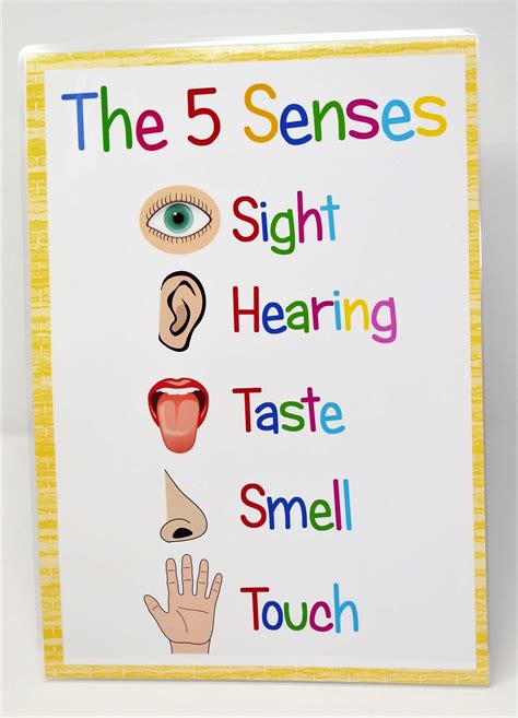 Buy kids2learn THE FIVE SENSES A4 Sign Educational Nursery SEN Children Kids Childminders Online ...