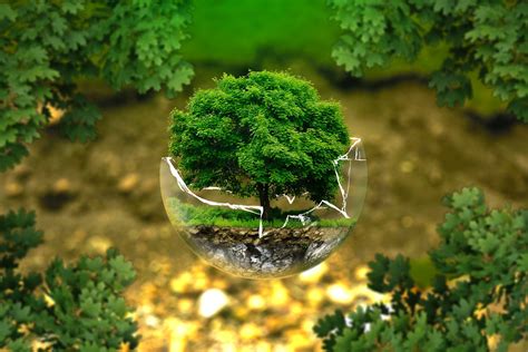 Protection Environnementale - Photo gratuite sur Pixabay