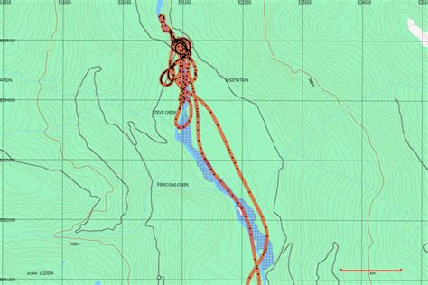 GPS Track as log book – Oplopanax Horridus