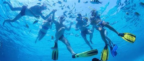 Cozumel Palace Snorkeling Water Activities | Honeymoons Inc