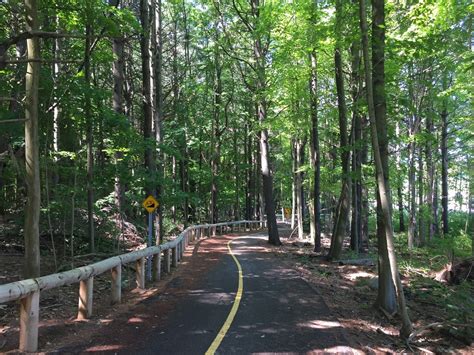 Area cycling route becomes travelling experience (15 photos) - Barrie News