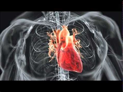 HUMAN HEART BEAT SOUND EFFECT IN HIGH QUALITY - YouTube