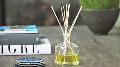 Your House Will Smell Amazing With This Easy 3-Ingredient Diffuser - DIY Ways