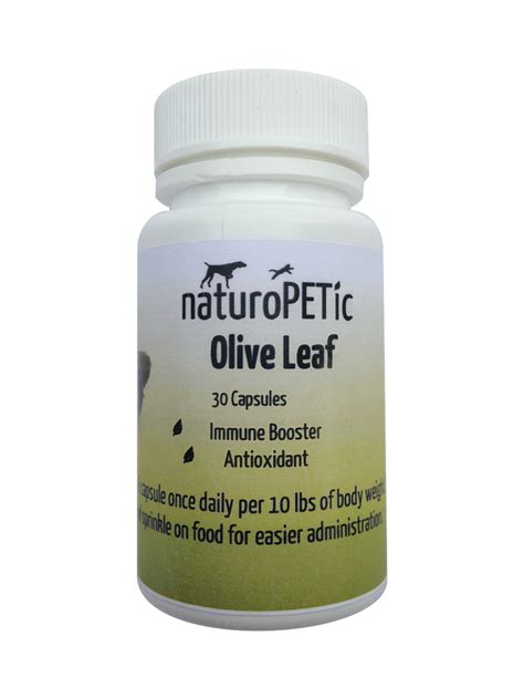 Olive Leaf – naturoPETic