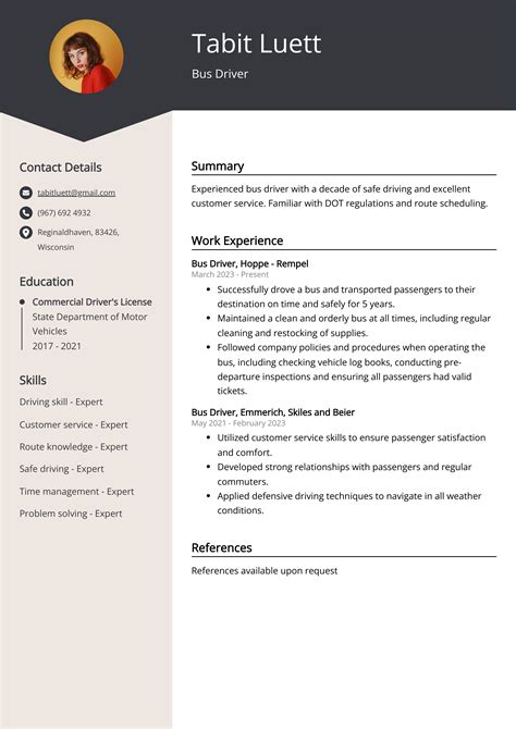 Bus Driver CV Example for 2023 (Skills & Templates)