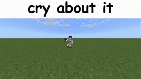 Minecraft Memes Minecraft GIF - Minecraft Memes Minecraft Cry About It ...