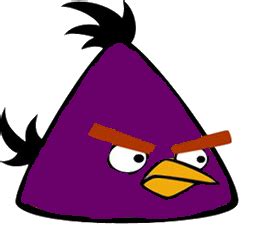 Purple bird, Purple, Angry bird