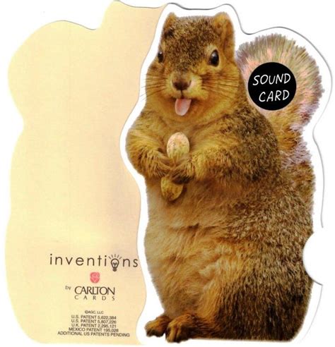 Funny Pull Out Squirrel Nuts Sound Birthday Card | Cards | Love Kates