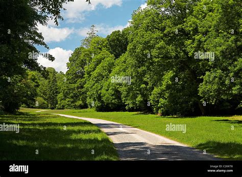 Parc le Breos / Park Wood, Gower, Wales Stock Photo - Alamy